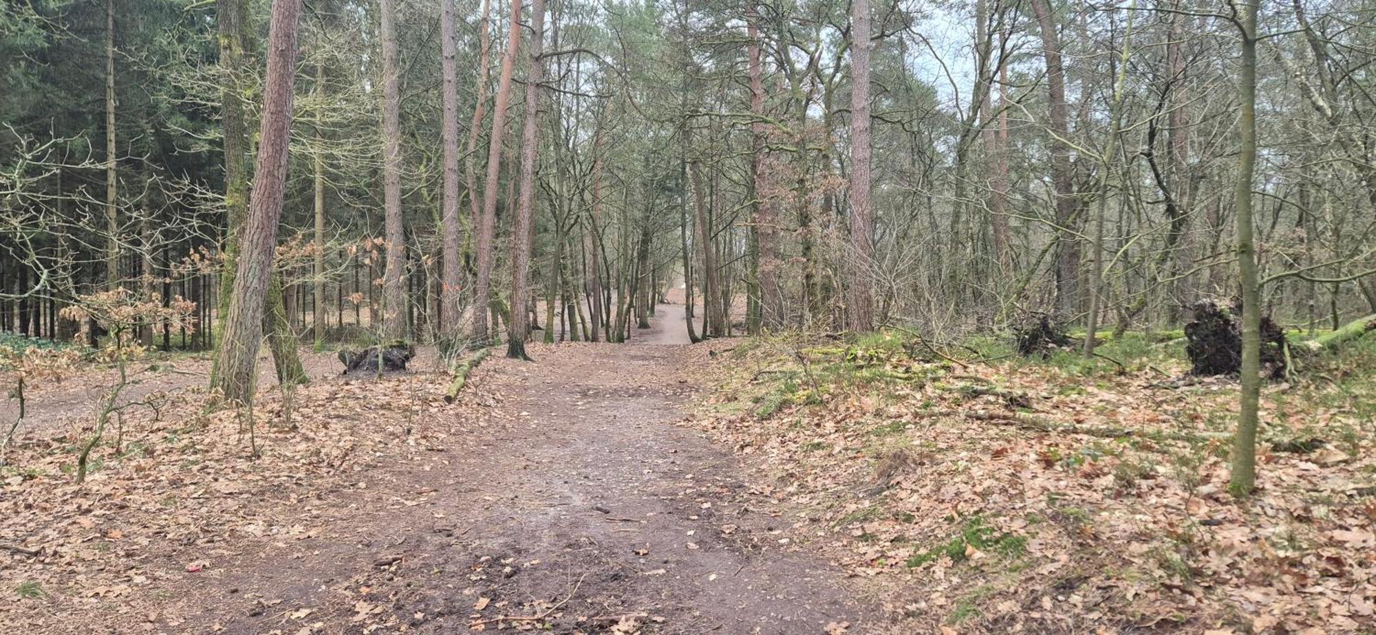 Het Veluwse Boshuisje Knus Chalet Met Omheinde Tuin Op De Veluwe Хундерло Экстерьер фото