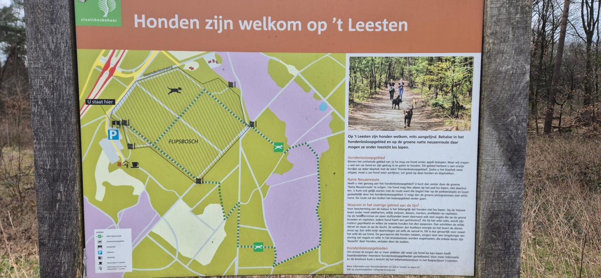 Het Veluwse Boshuisje Knus Chalet Met Omheinde Tuin Op De Veluwe Хундерло Экстерьер фото